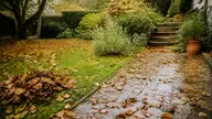 Faut-il ramasser les feuilles mortes dans son jardin ?