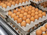 Œufs bruns présentés en rayon dans un supermarché