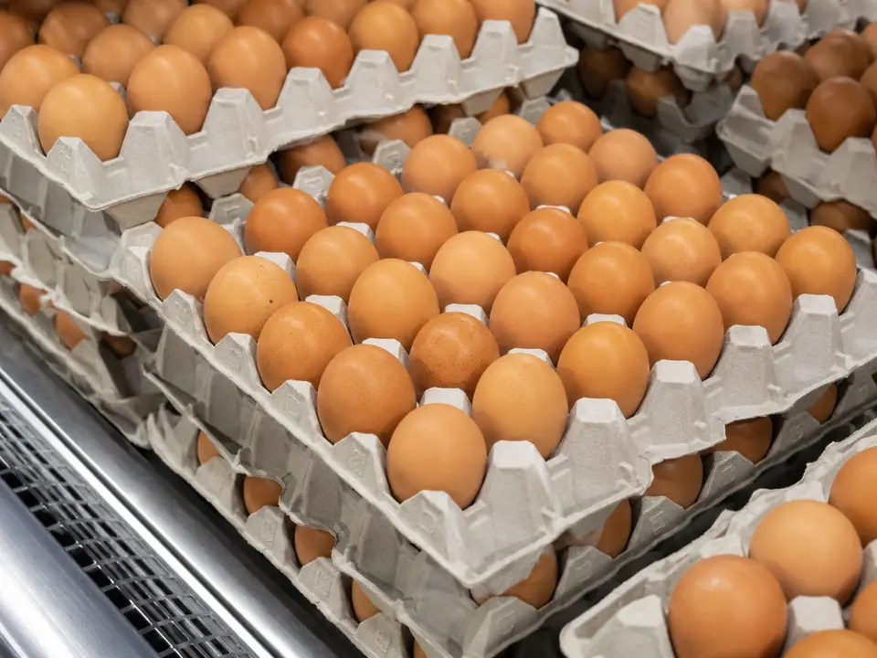 Œufs bruns présentés en rayon dans un supermarché
