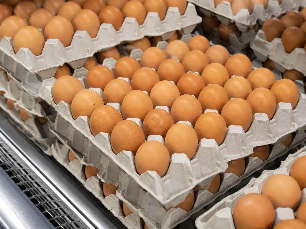 Œufs bruns présentés en rayon dans un supermarché